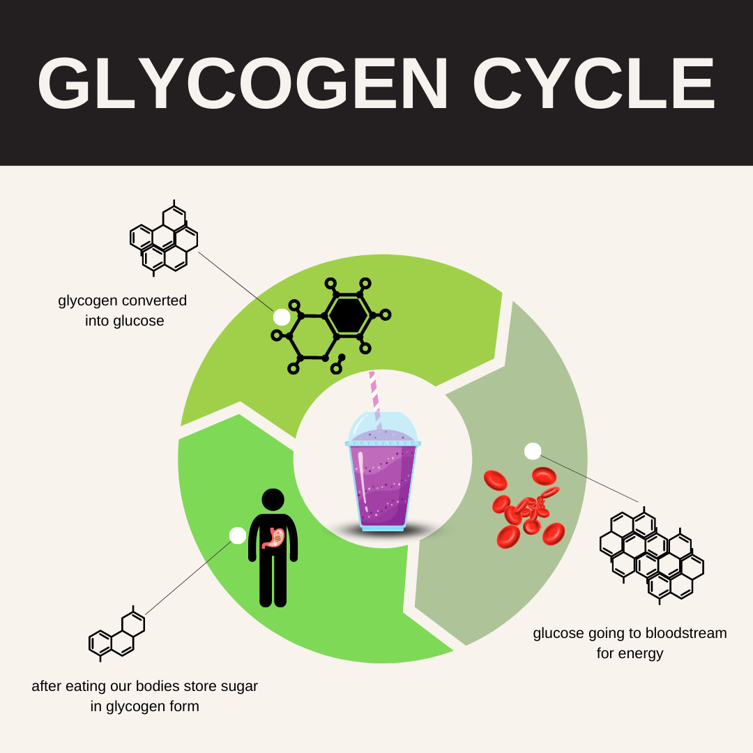 Glycogen Cycle