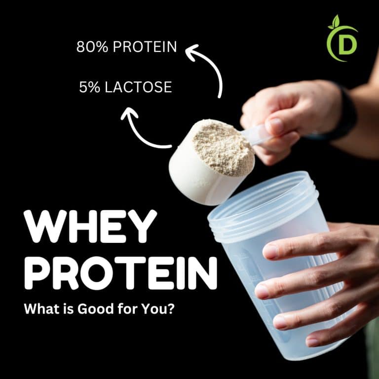 what is whey protein