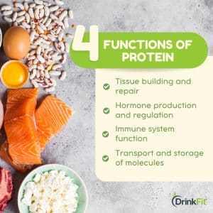 protein functions in the body